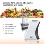 WINNING STAR SALAD MAKER 200W ST-6600 MADE IN CHINA ( 1 YEAR FULL WARRANTY ) - Image 2